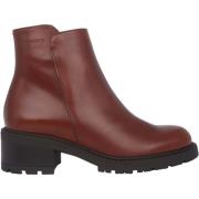 Enkellaarzen Wonders Nebula