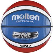 Sportaccessoires Molten -