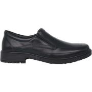 Instappers Ara Largo