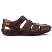 Sandalen Pikolinos Tarifa