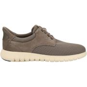 Lage Sneakers Geox Sneaker