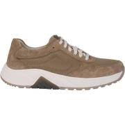 Lage Sneakers Pius Gabor 8002.13.03