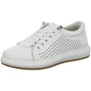 Lage Sneakers Andrea Conti -