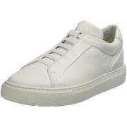 Lage Sneakers Lloyd -