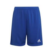 Korte Broek adidas Entrada 22
