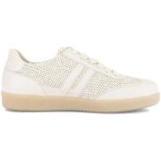 Lage Sneakers Gabor 83.300.42