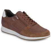 Lage Sneakers Geox U AVERY