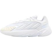 Lage Sneakers adidas H04251