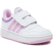 Lage Sneakers adidas IF7734