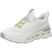 Lage Sneakers Salamander -