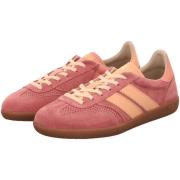 Lage Sneakers Caval -