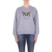 Trui Pinko 100534A33G