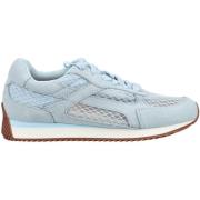 Lage Sneakers Gioseppo Sneaker