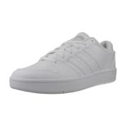Lage Sneakers adidas HOOPS CLASSIC