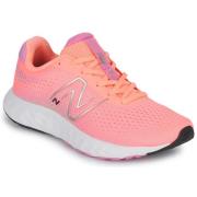 Hardloopschoenen New Balance 520 V8
