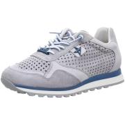 Nette Schoenen Cetti -