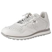 Lage Sneakers Cetti -