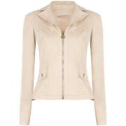 Windjack Rinascimento CFC0127914003