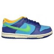 Lage Sneakers Nike DV1693401