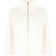 Windjack Rinascimento CFC0127987003