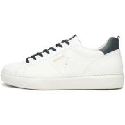 Lage Sneakers NeroGiardini Sparta Sparta Incanto Eva Giglio 8416 Pann