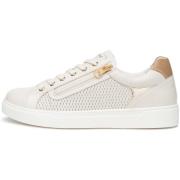 Lage Sneakers NeroGiardini Velvet 0100 Velvet 0100 T.Brill Platino 607...