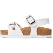 Slippers NeroGiardini T.Feltro Dis.9 Bianc Art.257