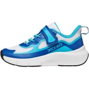 Lage Sneakers Geox 278891