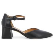 Pumps Melluso V308Q-257160