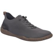 Lage Sneakers Josef Seibel -