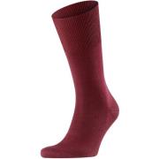 Socks Falke Airport Sok Bordeaux 8596