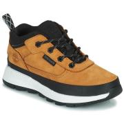 Lage Sneakers Timberland FIELD TREKKER LOW