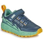 Lage Sneakers Primigi B G STORM GTX