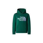 Trui The North Face Drew Peak P/O