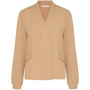 Windjack Rinascimento CFC0129538003