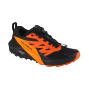 Hardloopschoenen Salomon Sense Ride 5 Gtx