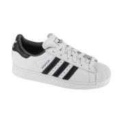 Lage Sneakers adidas Superstar