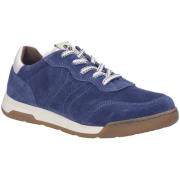Lage Sneakers Josef Seibel -