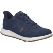Lage Sneakers Josef Seibel -