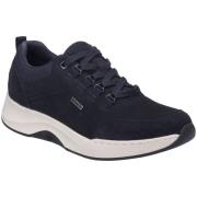 Lage Sneakers Josef Seibel -