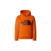 Trui The North Face Drew Peak P/O
