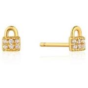 Oorbellen Ania Haie e03203g