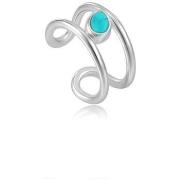 Oorbellen Ania Haie e02702h