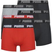 Boxers Puma PUMA BASIC X6