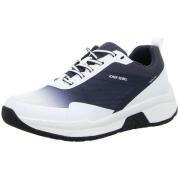 Lage Sneakers Josef Seibel -