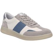 Lage Sneakers Josef Seibel -