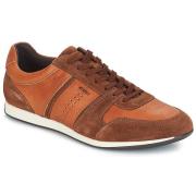 Lage Sneakers Geox CLEMENT