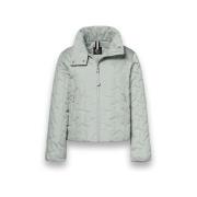 Windjack District Marigold