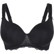 Voorgevormde bh Lingadore DAILY T-Shirt BH - Plus Size