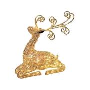 Kerst decoraties Lotti Décoration lumineuse 80 micro LED cuivré